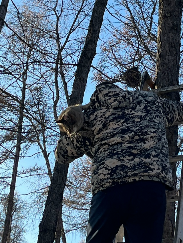 Котика спасли! Добрый мужчина по своему желанию помог ?...