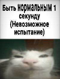 Утренняя подборочка