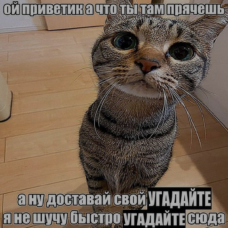 Ночная подборочка
Спать, режим