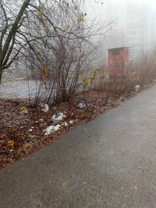 ❗Подписчики делятся 