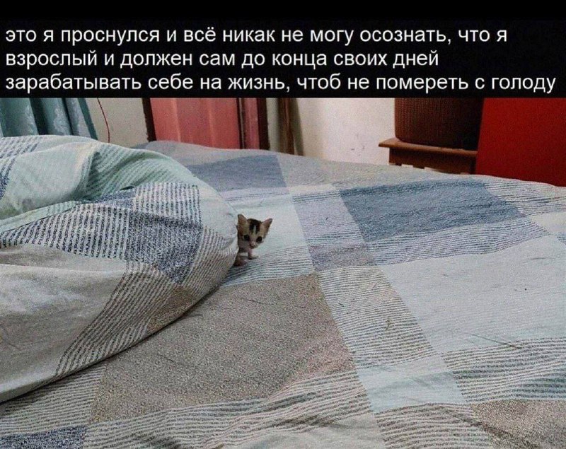 Утренняя подборочка