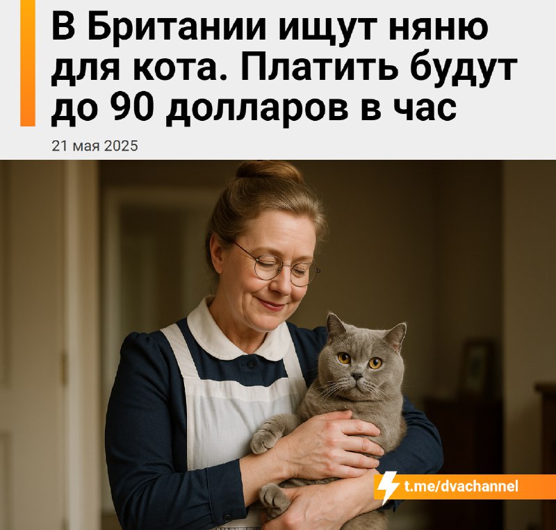 В Британии открылась вакансия няни для… кота — платить обещают до 90 долларов в час
Нужно заботитьс