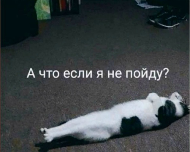 Каждый день такой вопрос