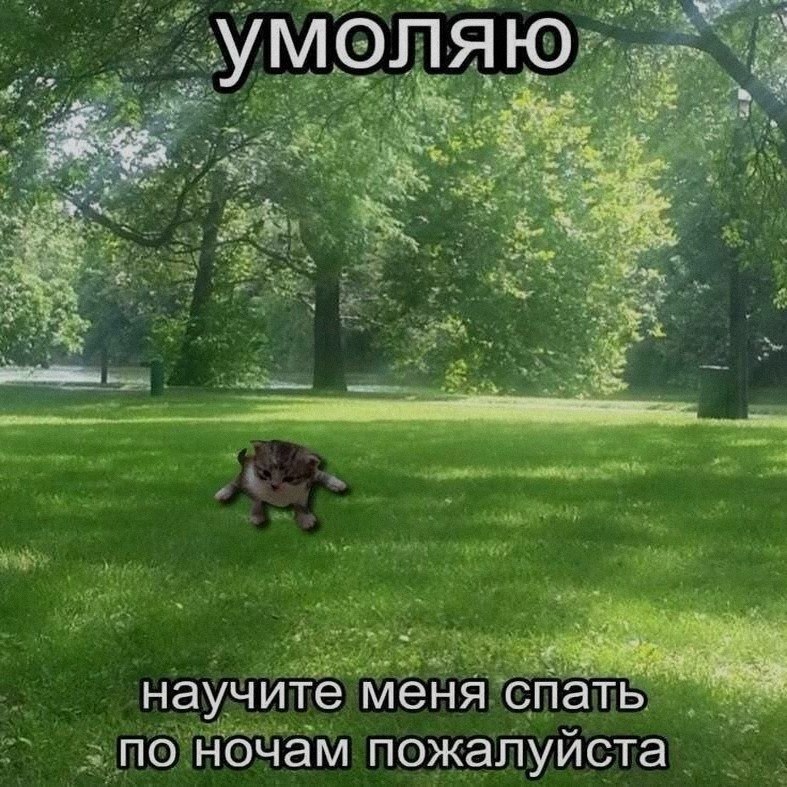 Ночная подборочка
Спать, режим