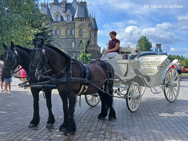 Замок Гарибальди. Самарская обл. 🏰