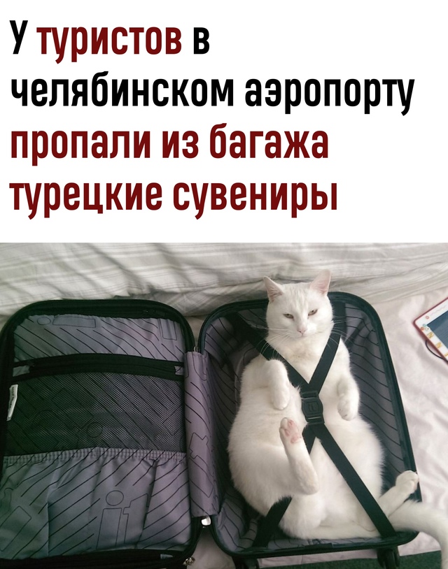 Из Турции — без подарков: пассажиры рейса в Челябинск ?...