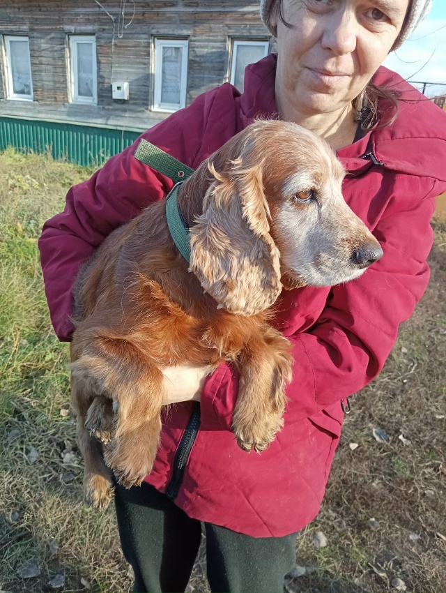 Помогите, пожалуйста, распространить🙏 (помогаю инфор?...