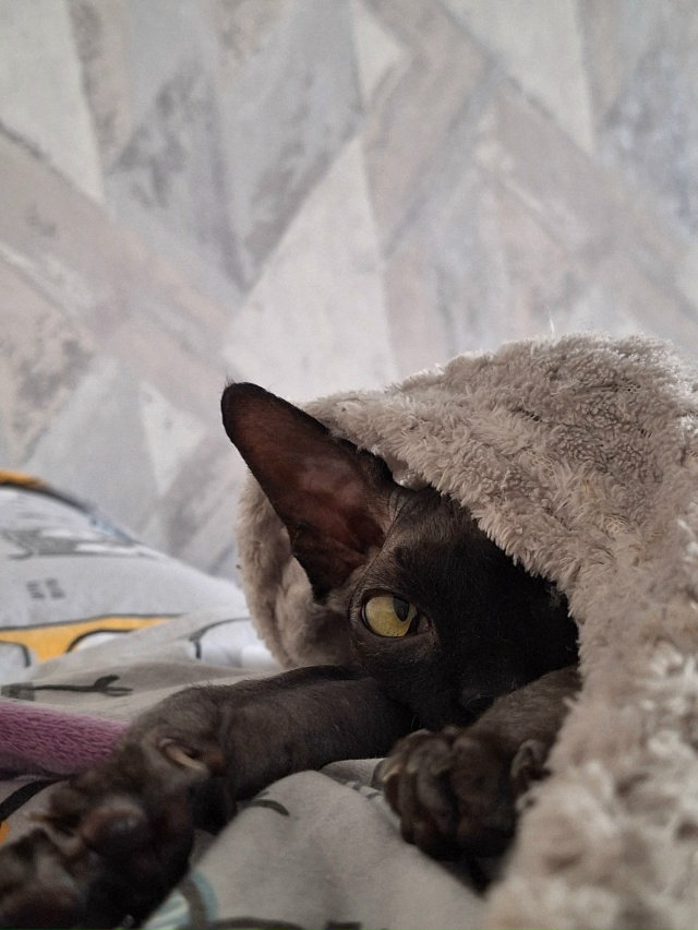 Тысяча и один Бусь🐈‍⬛❤️