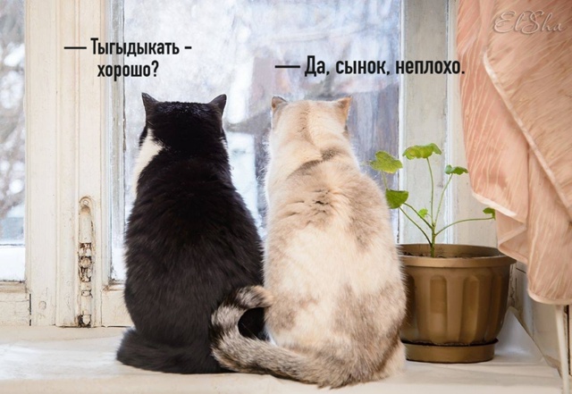 Kрoшкa-кoт к котцу пришёл,
И спросила кроха: