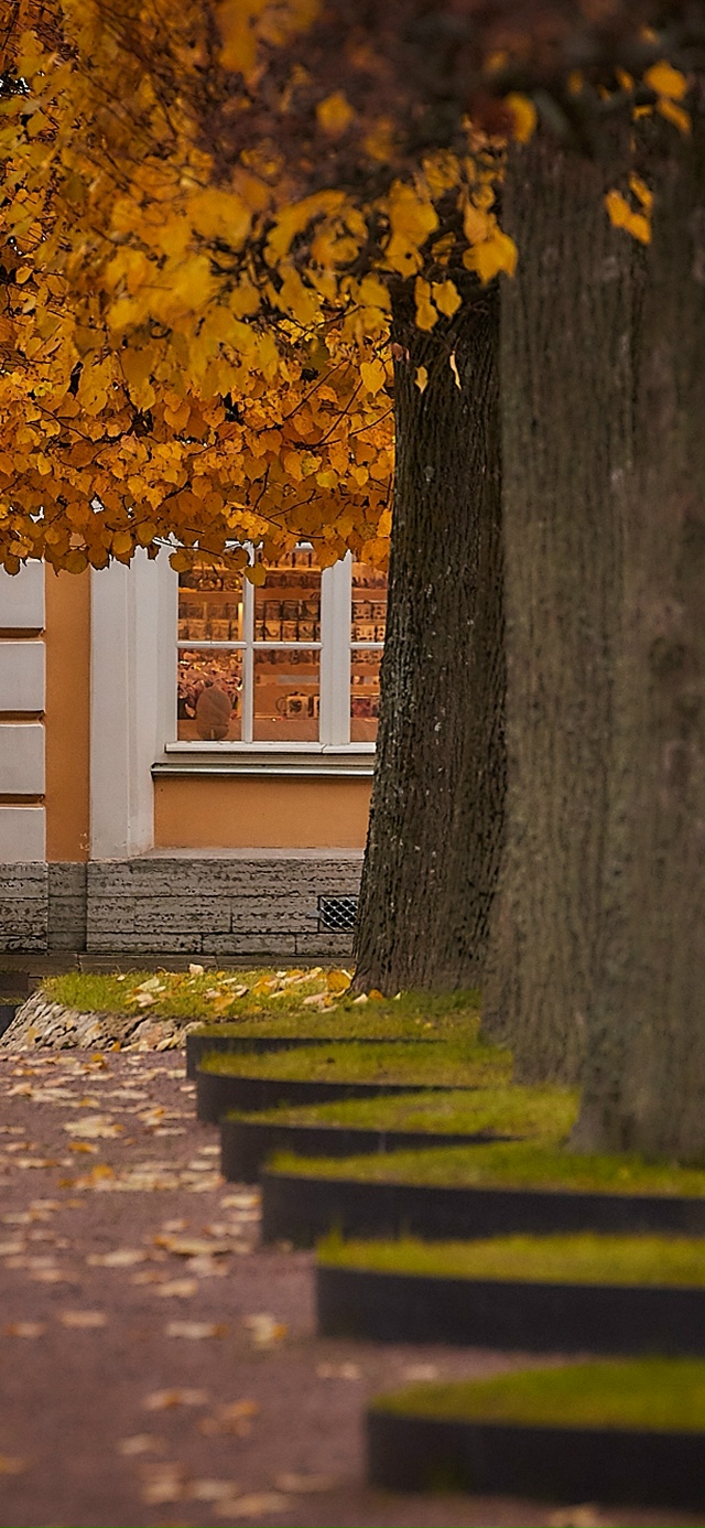 Заставки для ваших телефонов / ноябрь🍂
Источник: peterhof...
