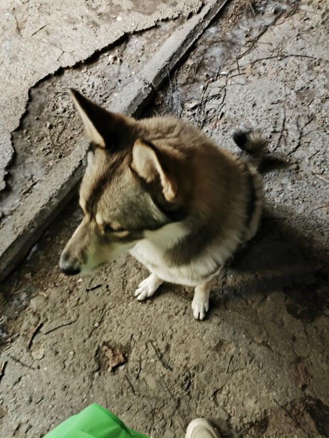 Всем добрый вечер! Этот мохнатый товарищ второй день ж?...