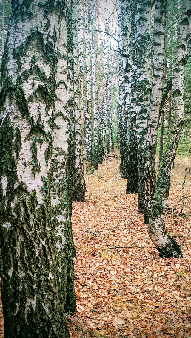 Доброй ночи, Никольск❤