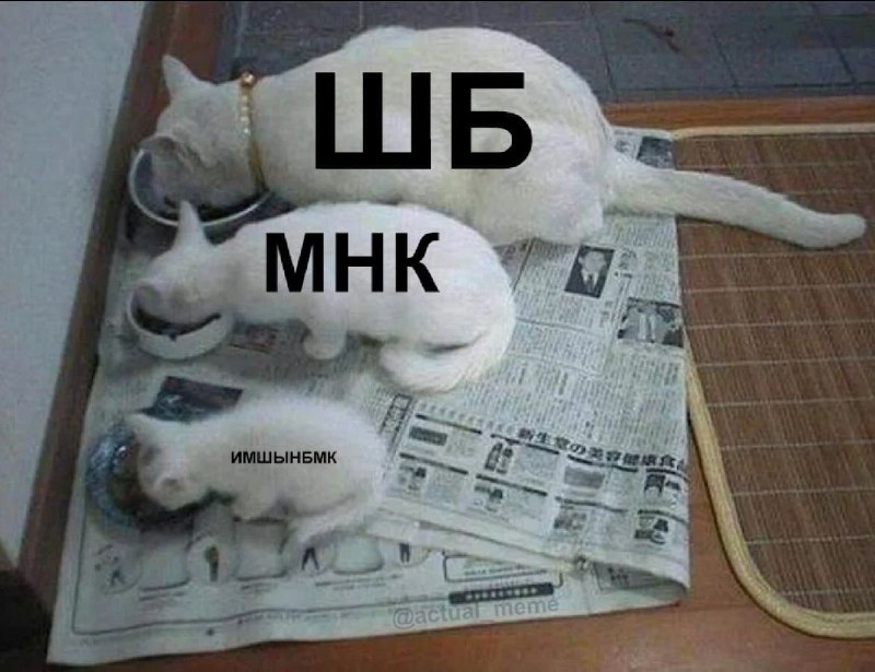 Утренняя подборочка