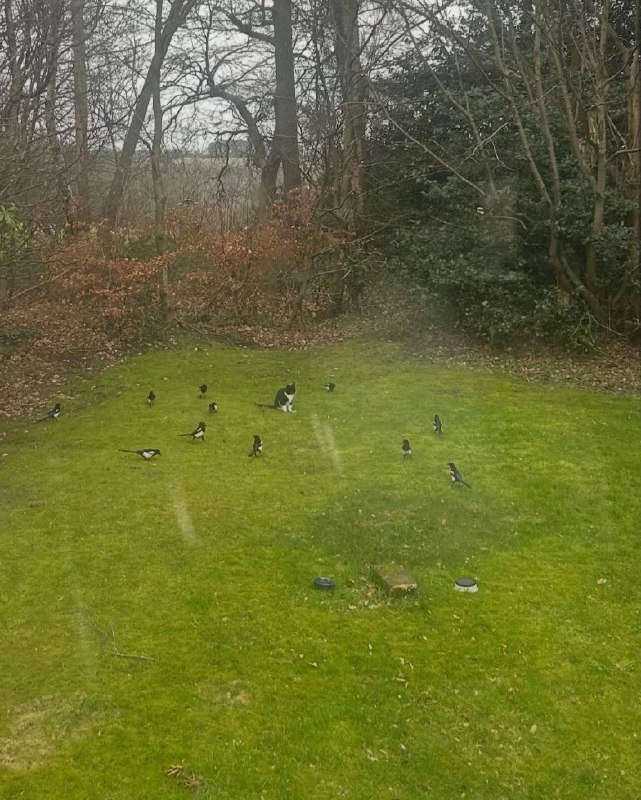 Лидер должен выделяться