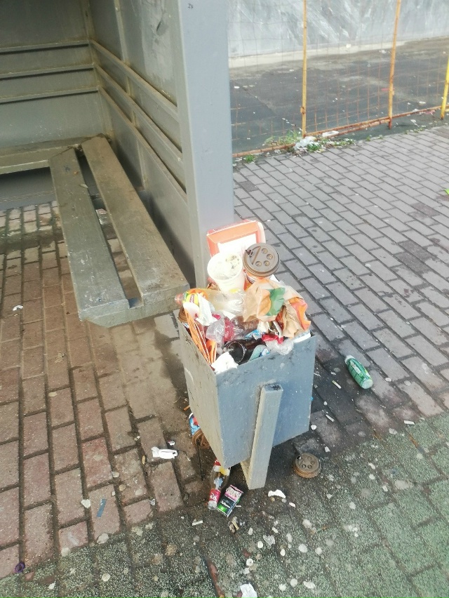 Первый раз пишу Вам. Надоело смотреть на эту помойку, о?...