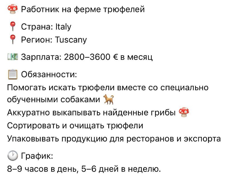 В Италии ищут грибников с зарплатой около 300 тысяч рублей в месяц.
Работникам предстоит вместе со