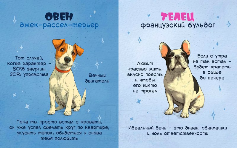 Российский астролог рассказал, какая вы бася по знаку зодиака
Ищем себя, скидываем друзьям