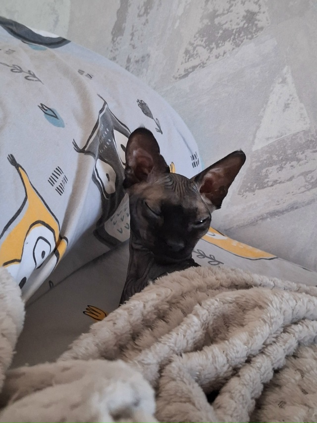 Тысяча и один Бусь🐈‍⬛❤️