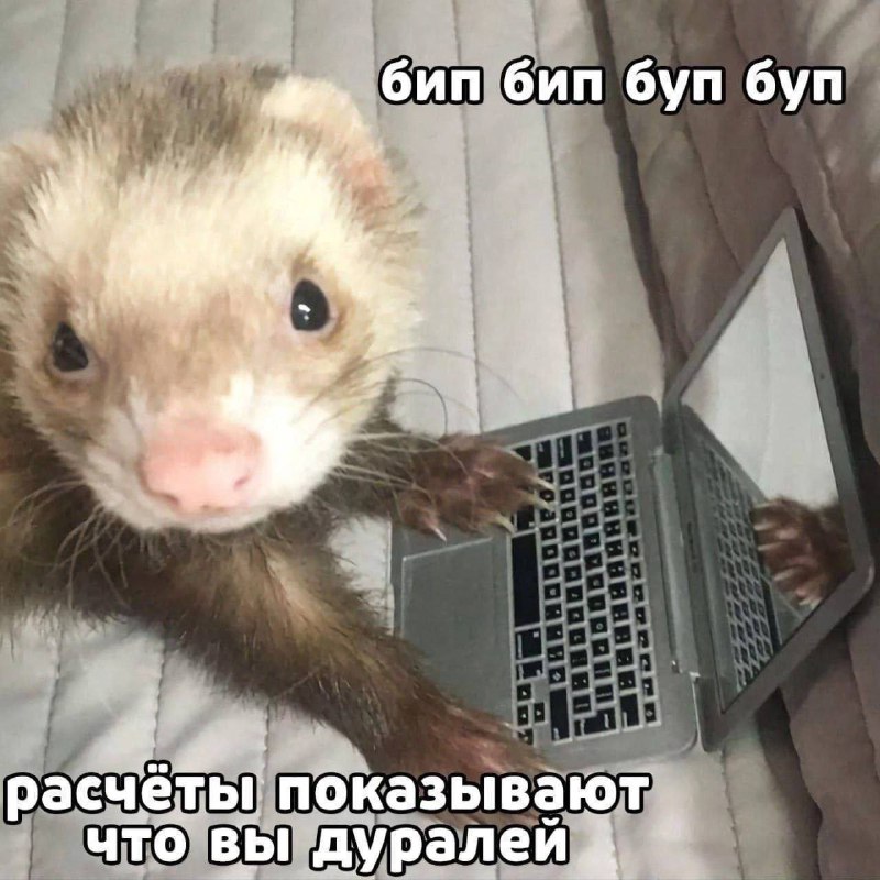 Утренняя подборочка