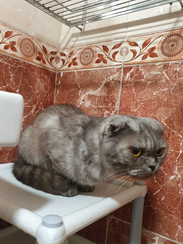 Админ, опубликуй, пожалуйста!
Переславль!
СРОЧНО!
В ра...