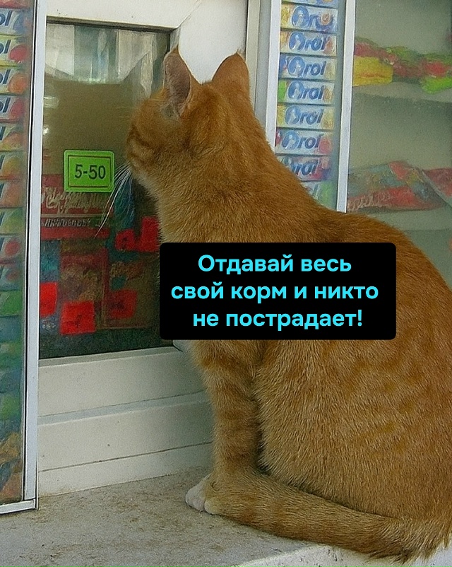 Новая схема вымогательства: пушистое лицо, когти и жел?...