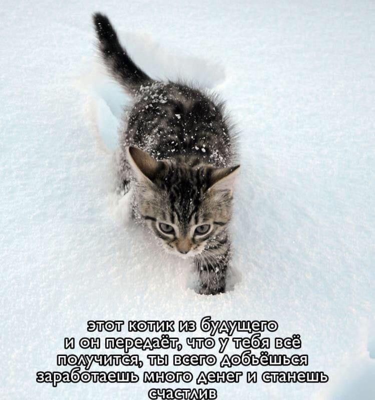 Утренняя подборочка