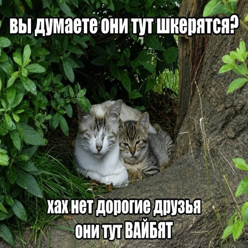Утренняя подборочка
