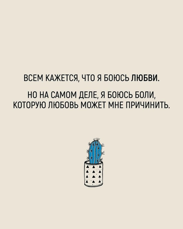 5 кактусов отношений...