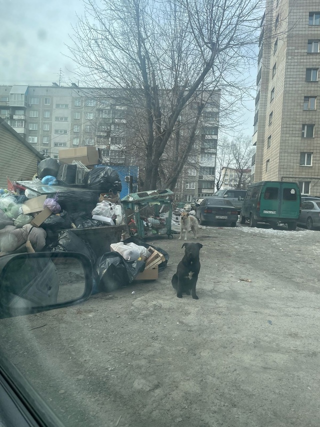 От пoдпиcчикa:
