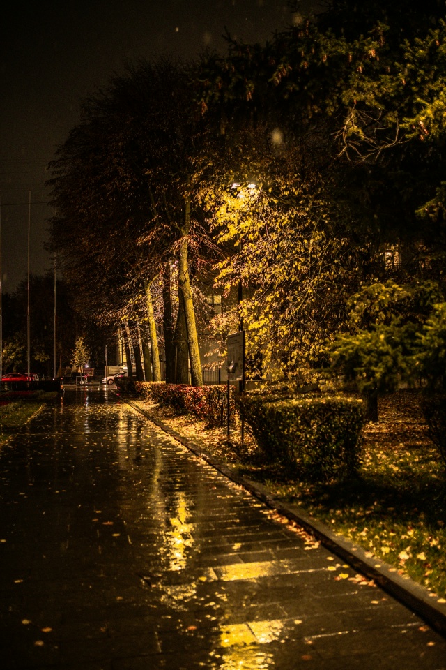 ☔Дождливый Воронеж прямо сейчас🍂