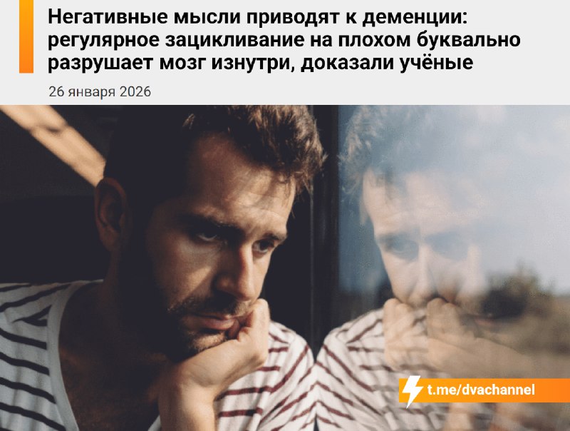 Негативные мысли ведут к слабоумию — учёные доказали, что привычка думать о плохом разрушает мозг
О