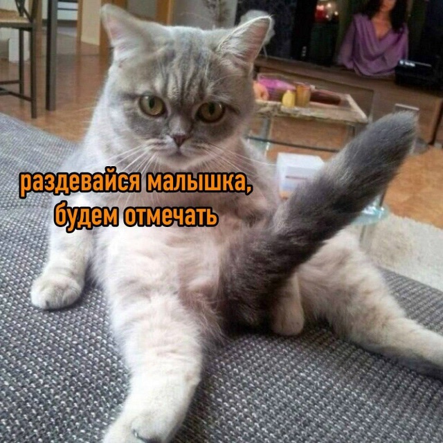 ✅ Сегодня отмечается Международный День женского орг?...