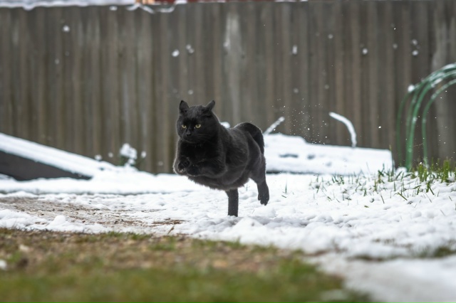 ❄ Привет зима, мы ждали!
Традиционно встретили первый ...
