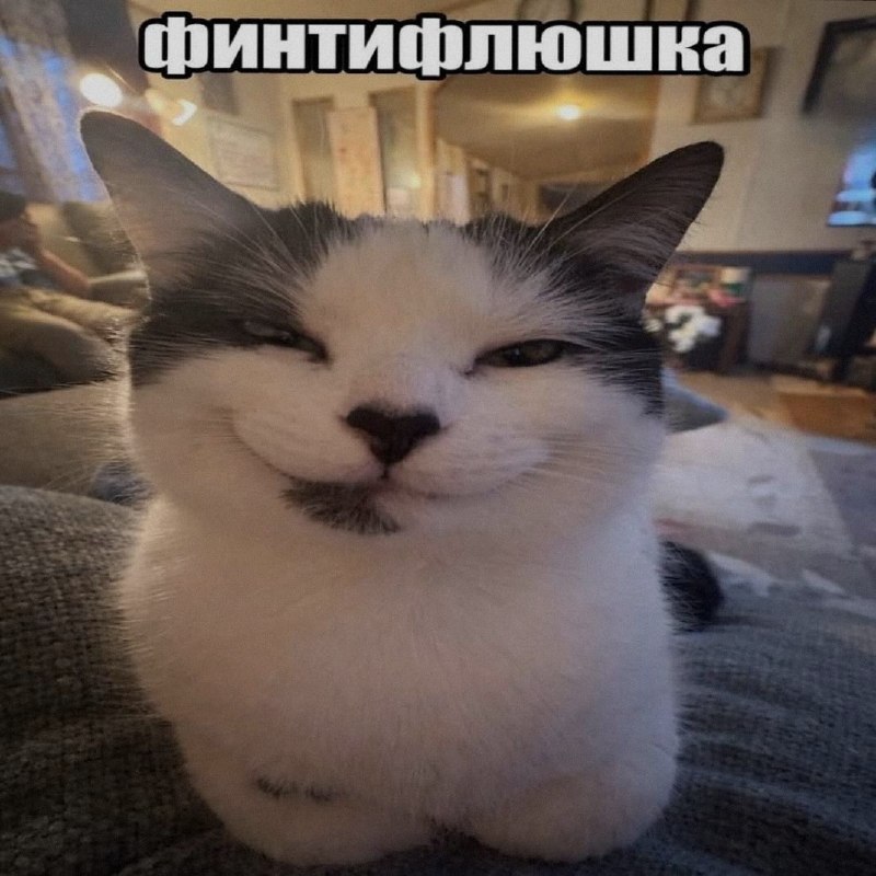 Ночная подборочка
Выходные, не спим