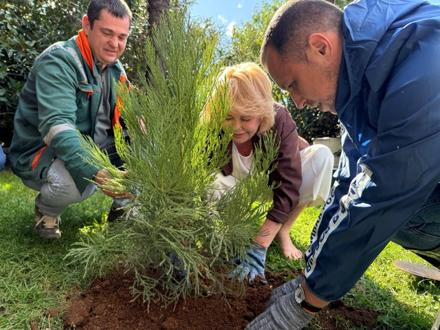 🌳 В Ялтинском до конца года планируют посадить около 2...