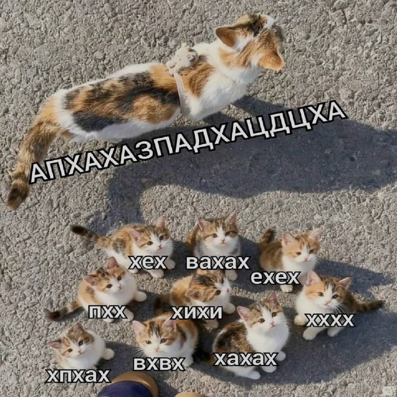 Ночная подборочка
Спать, режим