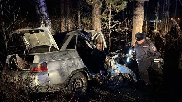 Под Верхней Пышмой в машине, врезавшейся в дерево, поги...