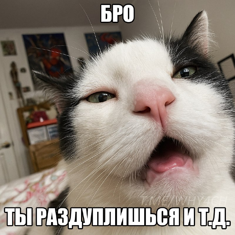 Утренняя подборочка
