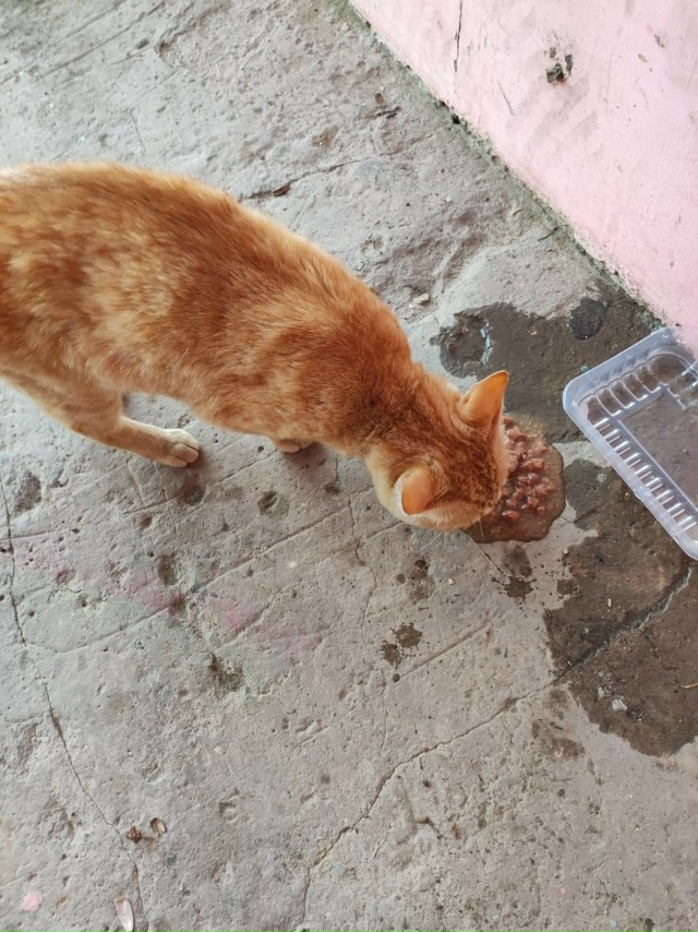На Уральской, по одной из улиц Советской уже не первый ?...
