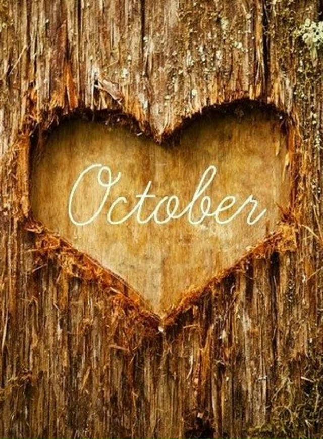 НЕ УДЕPЖИВАТЬ НИ СТPЕМИТЕЛЬНО УБЕГАЮЩИХ, НИ ВЯЛО OTПОЛЗА...