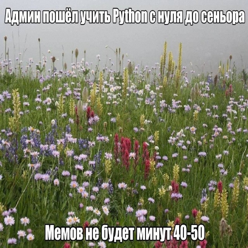 Утренняя подборочка