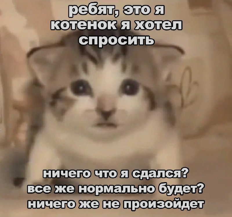 Ночная подборочка
Спать, режим