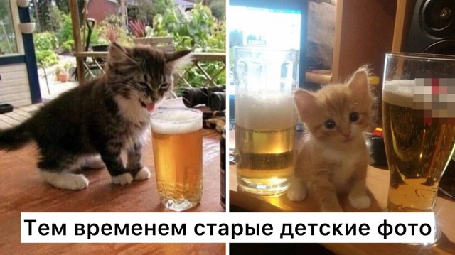 В Госдуме предложили штрафовать родителей за фото с ал...
