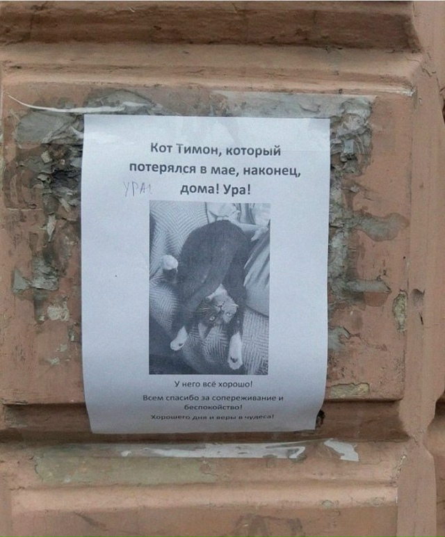 Приятно ощутить радость вместе с автором этого объявл?...