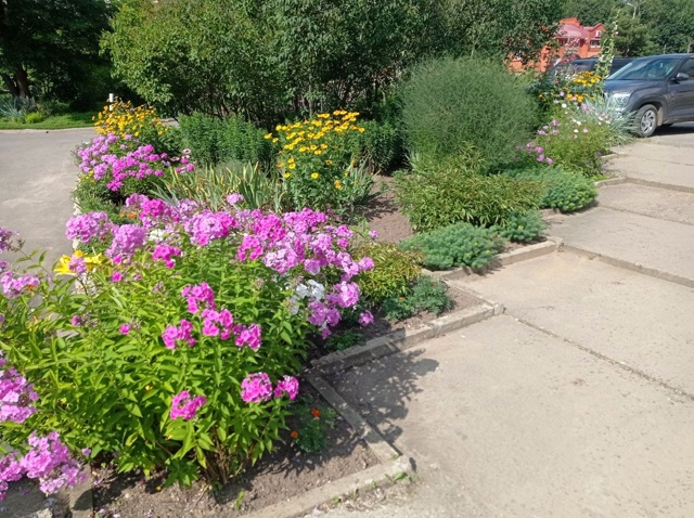 🌸Цветник возле 
