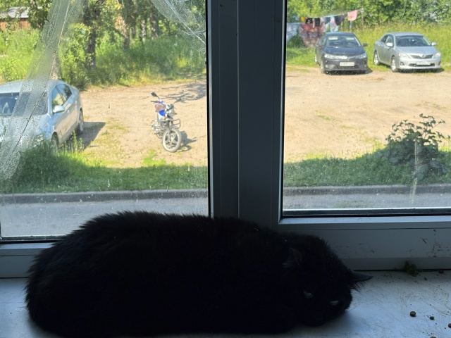 чья потеряшки на Конституции 3 последний подъезд от це?...