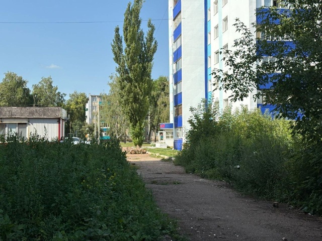 ?В Салавате призывают собственников следить за поряд...
