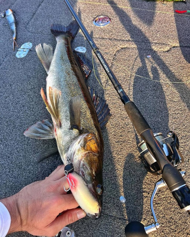 4 часа ловли и рыбалка удалась!