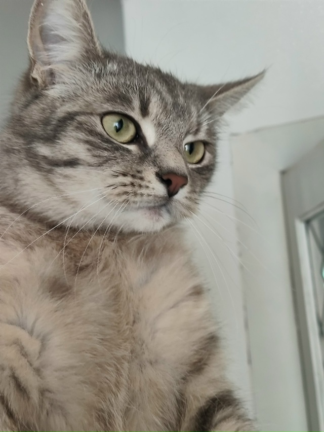 Абрикоська из не #мявстерская
С прошлой встречи похуде...