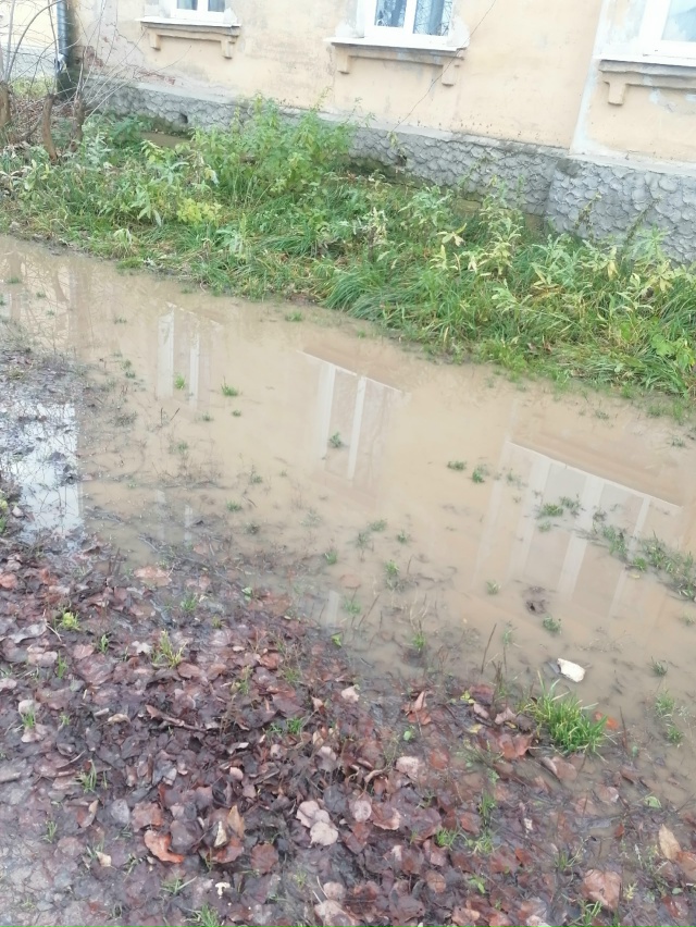 ⚡ Улица Летняя
Это наш тротуар. По нашей родной улице. ...